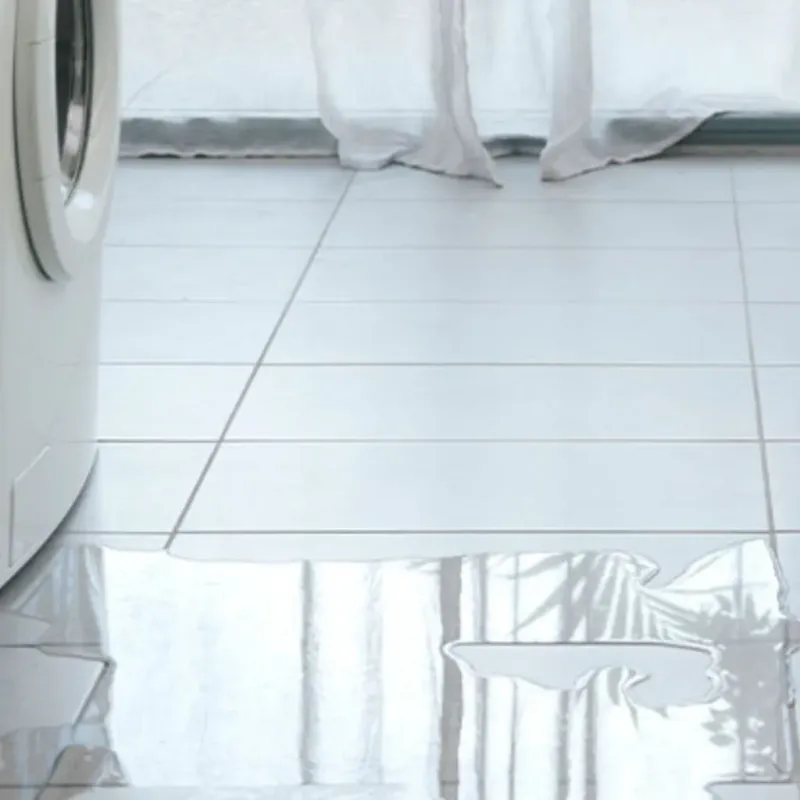 Appliance Leak Cleanup in Norton, VA