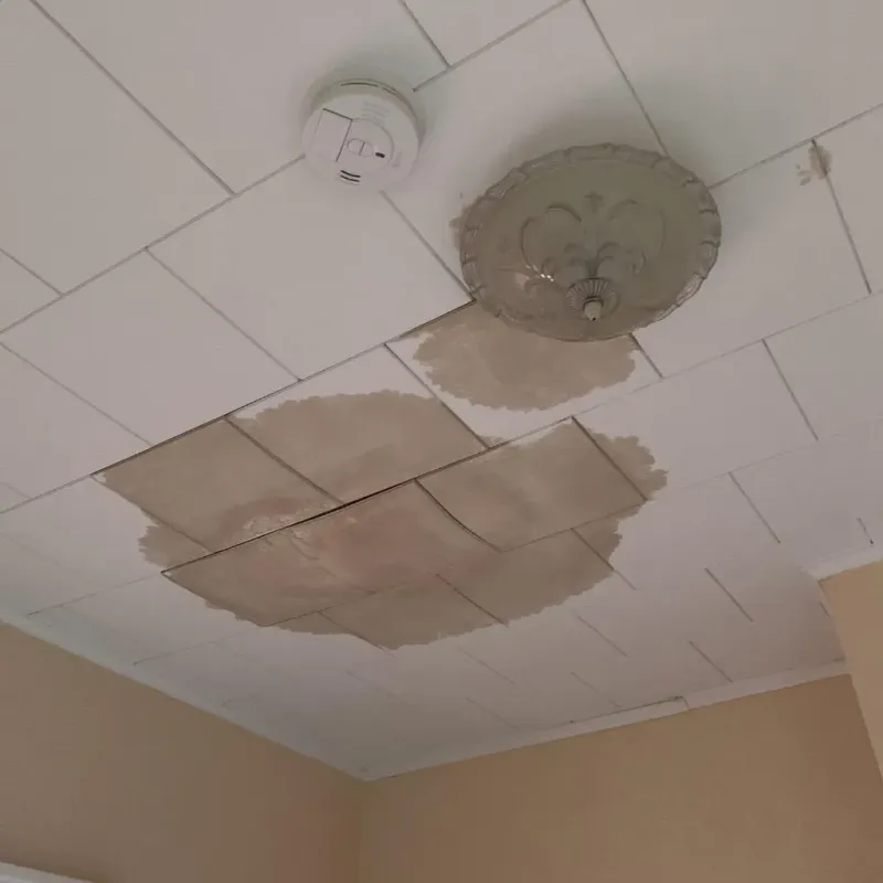 Ceiling Water Damage Repair in Norton, VA