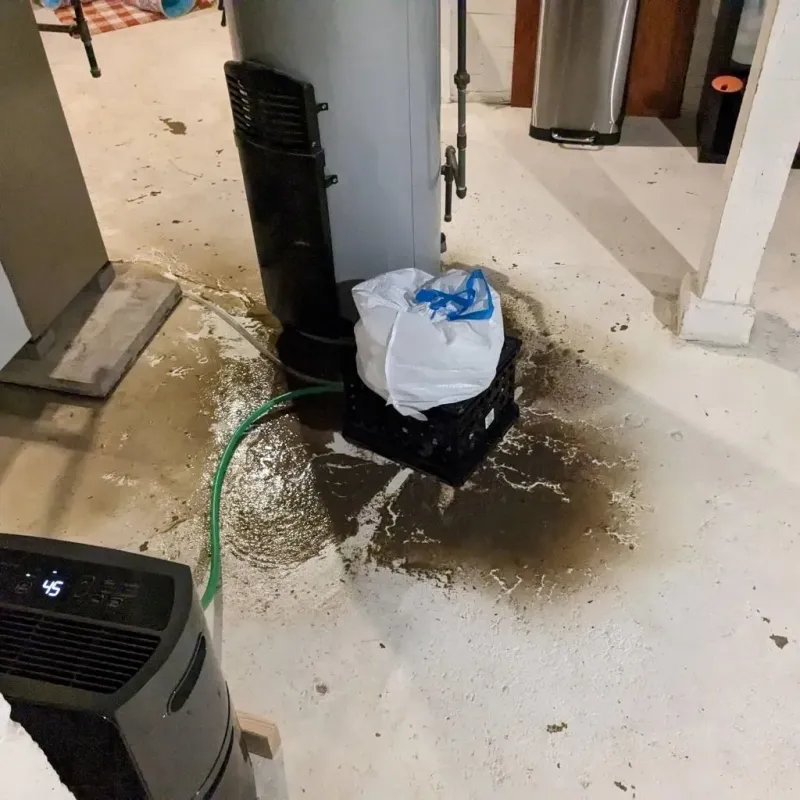 Sewage Backup Cleanup Service in Norton, VA